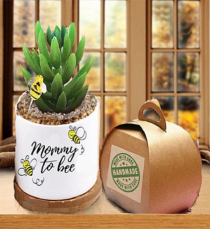 Ha Bee Mothers Day Succulent
